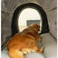 Foldable Dog House Pet Bed Winter Villa Sleep Kennel Nest Warm Size 2XL Carousel 3