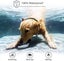 New Dog Training Collar on Afterpay Carousel 5
