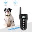New Dog Training Collar on Afterpay Carousel 6