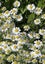 Loading Image 1 of 2
