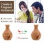 Hall Table Display LED Rainbow lamp Humidifiers *Over Stocked* Carousel 13