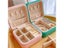 Portable Jewelry Storage Box For Earring Necklace Ring Travel Organizer Carousel 3