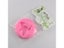 Silicone Moulds Mold Carousel 6