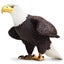 Loading Image 1 of 5