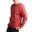 Mens Champion Powerblend Redwood Red Graphic Hoodie Carousel 2