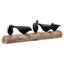 5 Birds Sitting on Log Carousel 4