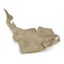 Loading Image 1 of 2
