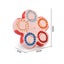 Spinning Toys for Anxiety, Magic Cube Puzzle Carousel 3