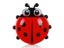 2pcs Toothbrush Holder Cute Ladybug Shape Suction Cup Creative Toothbrush Rack Carousel 6