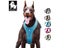 Sport Nylon Reflective Dog Harness With Handle XS To XL 5 Colors In Stock Carousel 4