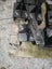 Ripper for Kobelco SK35 or similar Carousel 1