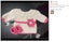Brand New 5Pcs Ultra Soft Knitting Yarns Balls(250G)Color-13 *Sale NOW* Carousel 14