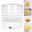 Brand New Food Dehydrator Fruit Dryer Meats Vegetable Preserver *Clearance* Carousel 10