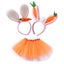 Rabbit Costume Children, Easter Bunny Costume Girls, Rabbit Headband Ears, Tulle Carousel 1