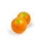 Loading Image 1 of 4