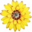Loading Image 1 of 5