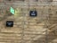 gallery view thumbnail