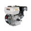 Petrol Engine 6.5hp Carousel 5