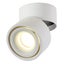 5w Led Ceiling Spotlights Ceiling Light Carousel 1