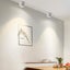 5w Led Ceiling Spotlights Ceiling Light Carousel 3