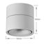 5w Led Ceiling Spotlights Ceiling Light Carousel 5