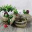 Ashtray For Cigarette Creative Caterpillar Ashtray With Lid Home Decoration (gre Carousel 5