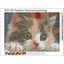 Diy 5d Diamond Painting Kits Full Drill Crystal Rhinestone Embroidery Painting B Carousel 2