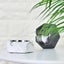 Cement Metal Stainless Steel Living Room Ashtray Ornament, Light Grey Carousel 3