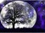 Diy 5d Diamond Painting Full Round Drill Kits Rhinestone Picture Crafts For Home Carousel 1