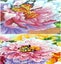 Diy 5d Diamond Painting Full Round Drill Kits Rhinestone Picture Crafts For Home Carousel 5