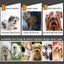 Dog Grooming Comb, Double Sided Metal Comb Cats Grooming Combs Detangling Groomi Carousel 5