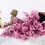 Gypsophila Artificial Flowers Branch High Quality Cherry Fake Plants Carousel 1