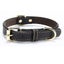 Leather Padded Dog Collar - Adjustable Dog Collar Cushion Carousel 1