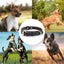 Leather Padded Dog Collar - Adjustable Dog Collar Cushion Carousel 4