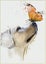 Full Diamond Painting, Puppy Butterfly Animals Diamond Painting Diy 5d Mosaic Pa Carousel 1