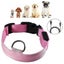 Led Dog Collar Battery Operated Makes Your Dog Visible Safe & Seen Carousel 2