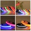 Led Dog Collar Battery Operated Makes Your Dog Visible Safe & Seen Carousel 4
