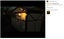 NEW new 2Pack Vintage Kerosene Lamp Burning Lantern Light*Hot SALE Carousel 6