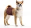 Washable Male Dog Diapers(3 Pack) Reusable Belly Band For Male Dogs,strong Water Carousel 4
