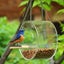 Window Bird Feeder Transparent Bird Feeder Acrylic Bird Feeder Large Window Bird Carousel 4