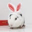 Rabbit Ears Headwear Pet Guinea Pig Kitten Warm Plush Hat Adjustable Headband Wi Carousel 4