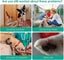 Rechargeable Pet File For Dog Nail Trimmer, Lima Electric Dog Nails Cats Shredde Carousel 4