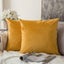 Pack Of 2 Pieces, Velvet Soft Solid Decorative Square Pillowcase Sofa Bedroom Ca Carousel 1