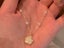 White Flower Camellia Design Necklace Pearls Elegant Jewelry Gifts Carousel 1