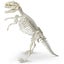 Heebie Jeebies Tyrannosaurus Fossil Paleontology Kit Kids Science Toy Set 5+ Carousel 4