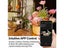 PTN New Time Lapse Video Camera Sale Sale Sale Carousel 6
