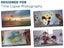 PTN New Time Lapse Video Camera Sale Sale Sale Carousel 12