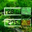 Aquarium Thermometer, 2 High Sensitivity Digital Aquarium Thermometers, Two Side Carousel 2