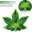 Ashtray Mold For Resin, Maple Leaf Silicone Resin Mold, Diy Ashtray Molds For Re Carousel 4