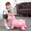 NEW new Moonhoppers Bouncy Horse Rocking Horse Ride-on Toys *Clearance* Carousel 5